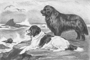 image001