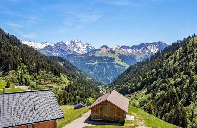 Geheimtipp für Hundefreunde -Herbstwandertage für alle Neufundländer